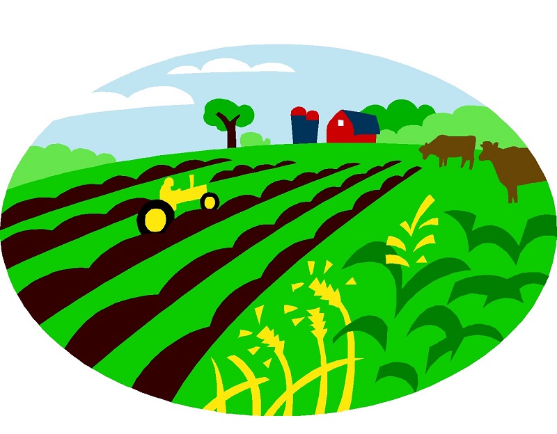 farmer express