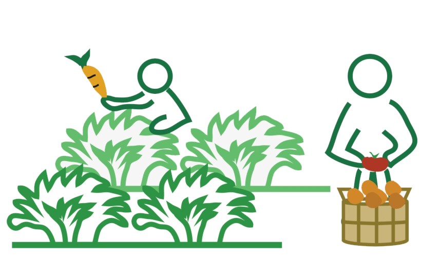 farmer express